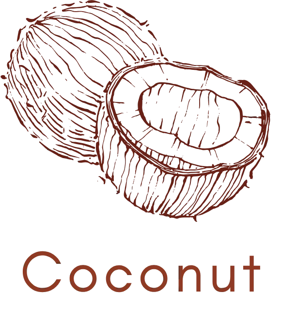 Coconut