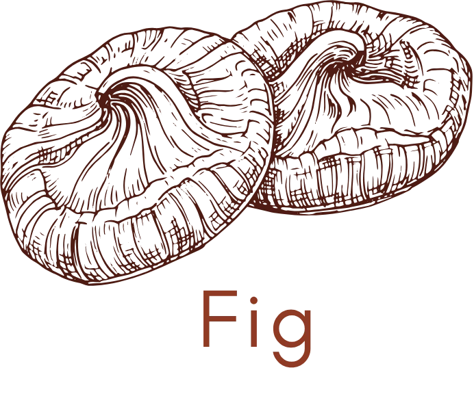Fig