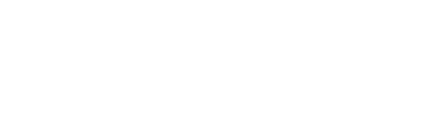 Bizbar